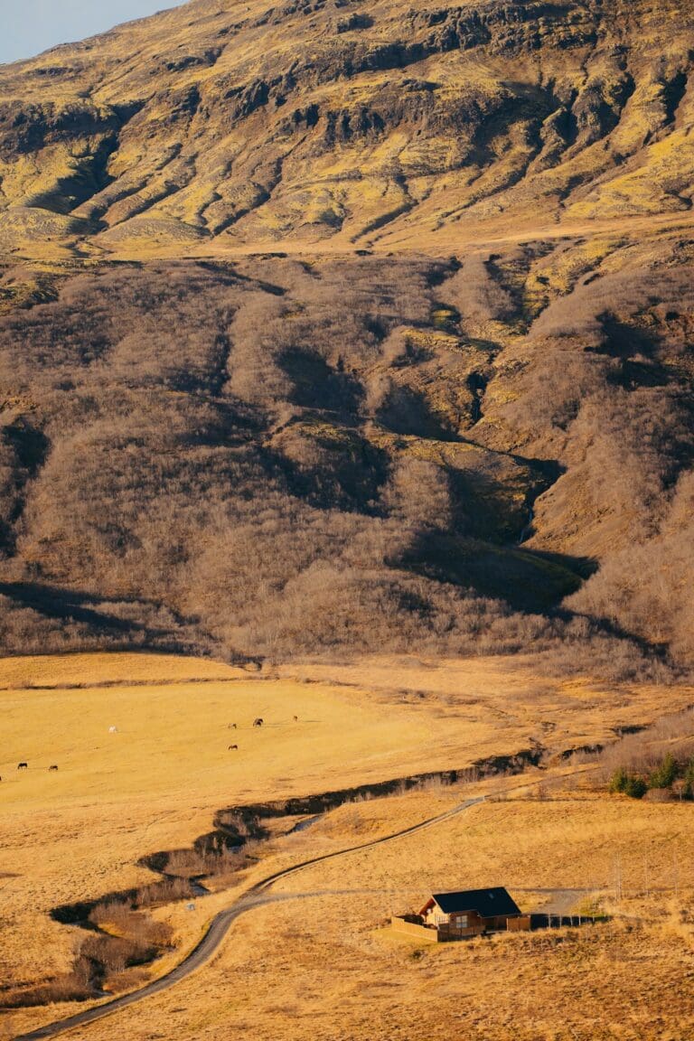 What “F- Roads” Mean and Who Should (and Shouldn’t) Drive Them