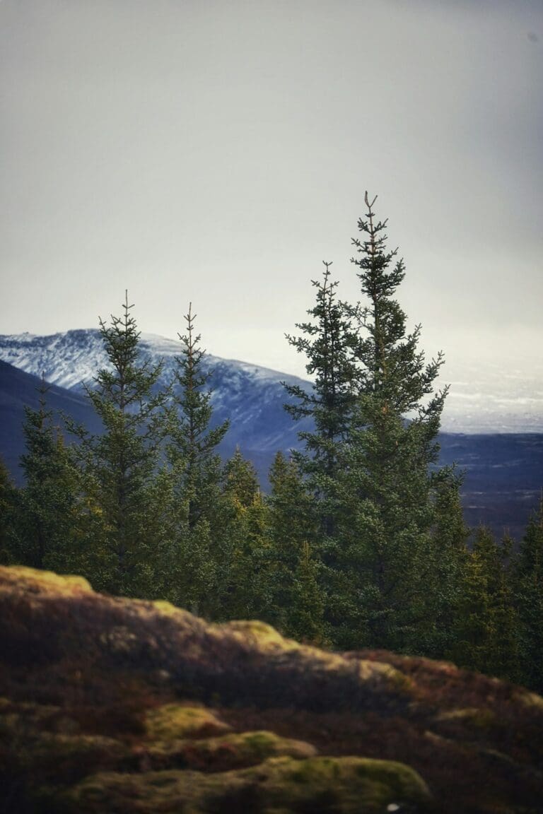 Why Iceland has so many waterfalls