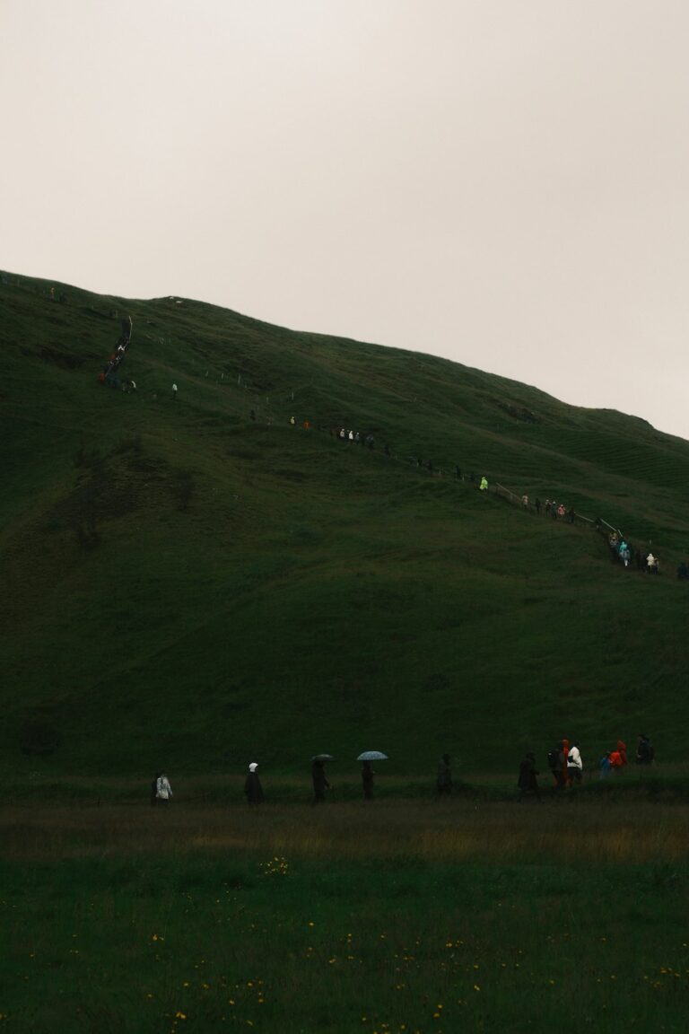 How to Experience Iceland’s Wild Arctic Beauty