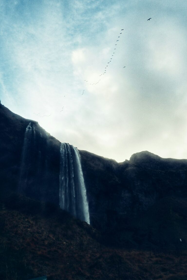 Friday, 20 March 2026 in Ísafjörður: Crisp –0.8 °C morning with partly cloudy skies and blustery 51 km/h winds