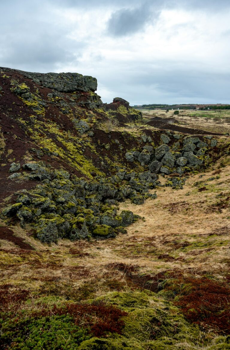 How to Discover Iceland’s Arctic Coastal Landscapes