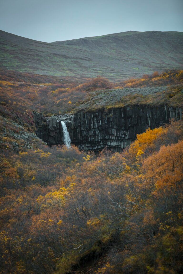 How to Experience Iceland Like a Local