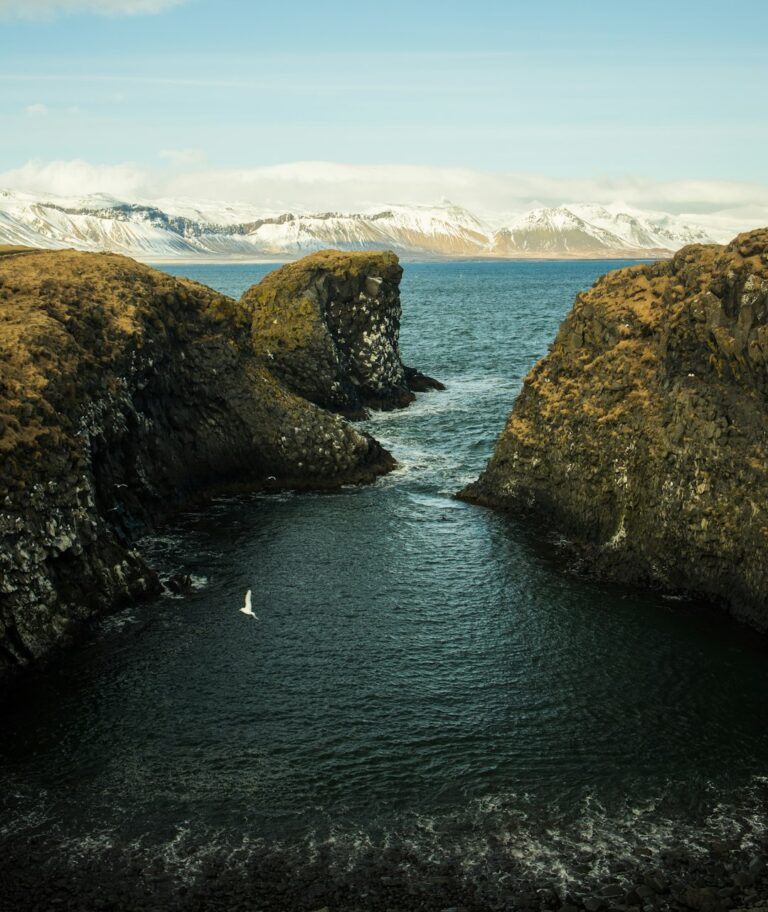 March 23, 2026 – Ísafjörður Wakes to a Crystal-Clear, –8°C Arctic Morning