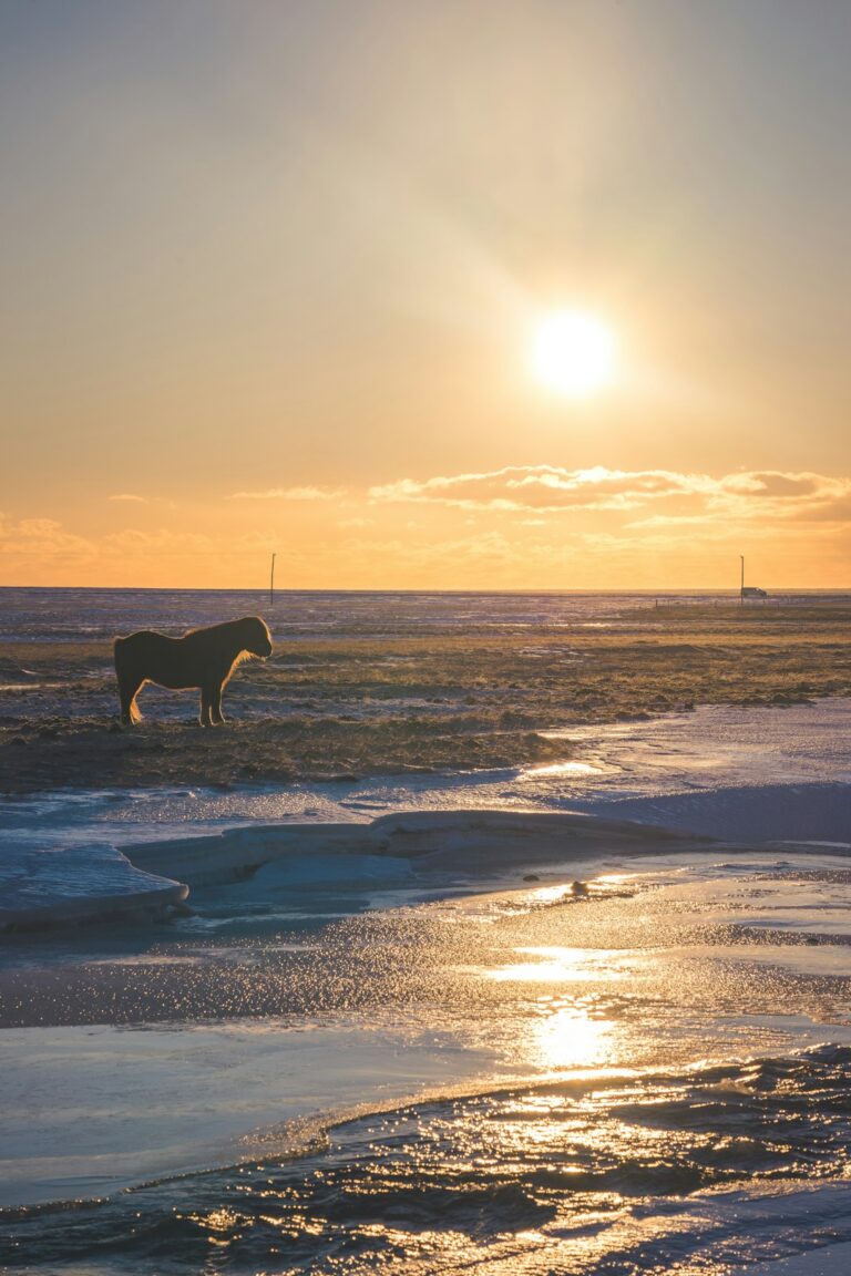 April 15, 2026 – Stykkishólmur Basks in Clear, Crisp 1.7 °C Evening Skies