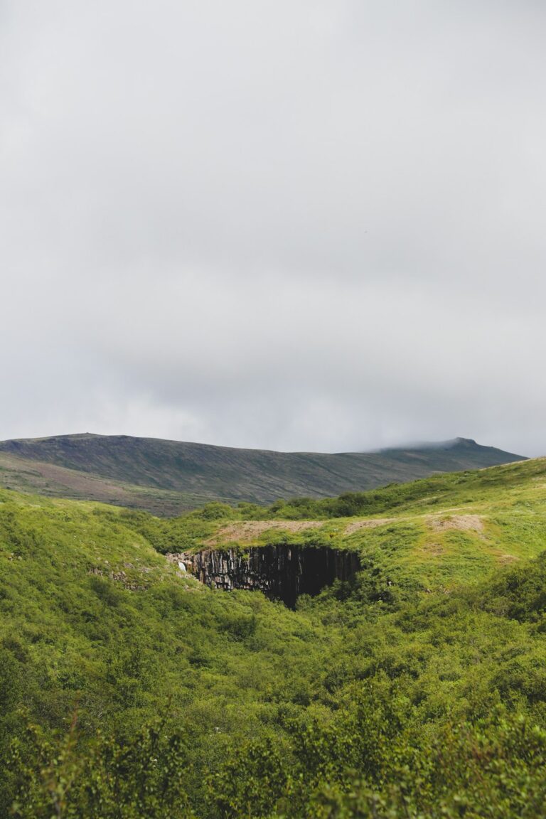 April 23, 2026 – Ísafjörður Sees Cool 4.6 °C and Mostly Cloudy Skies