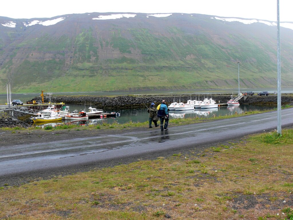 The harbour at Suðureyri fishing village in the Westfjords of Iceland