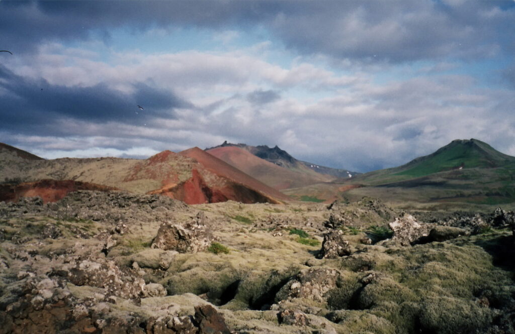 Moss-covered lava field of Berserkjahraun in summer, Snæfellsnes peninsula, Iceland