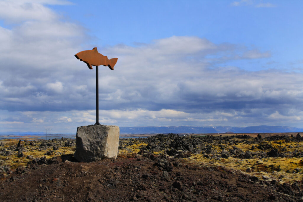 Roadside sign advertising shark (hákarl) tasting in Iceland