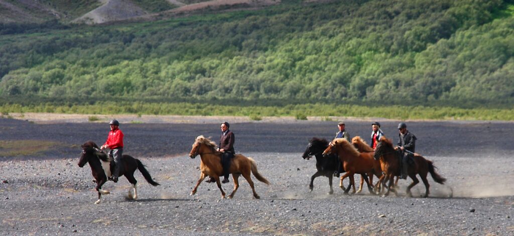 A group of tourists riding Icelandic horses on a trail in Iceland, with open landscape behind them.