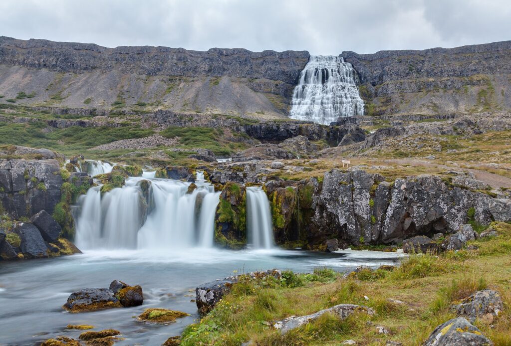 The tiered, fan-shaped Dynjandi waterfall in the Westfjords of Iceland, water spreading wide as it cascades down the mountainside.