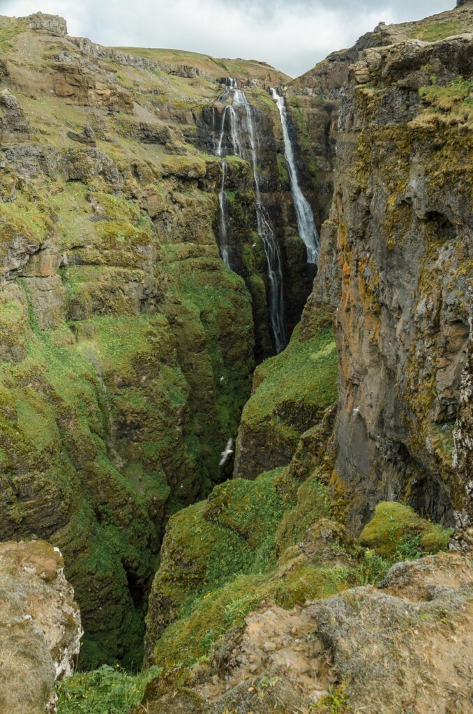Glymur waterfall dropping down a steep rock face into the green Botnsá canyon in Hvalfjörður, Iceland