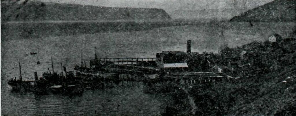 The herring reduction station at Stekkeyri near Hesteyri, Hornstrandir, photographed in 1930, showing industrial buildings by the shore.