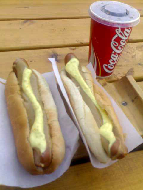 Icelandic hot dogs with toppings, a classic gas-station road-trip food