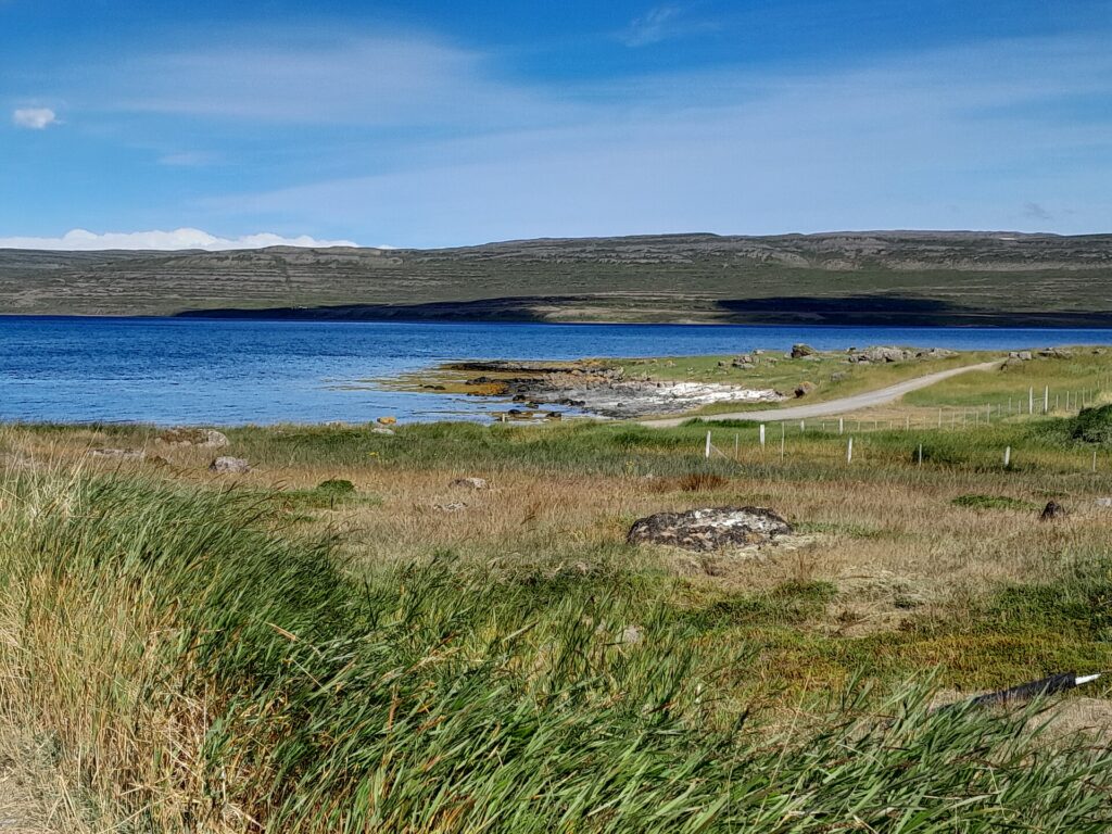 The Reykjanes peninsula and its geothermal setting at Ísafjarðardjúp in the Westfjords of Iceland, with the fjord and surrounding hills in summer.