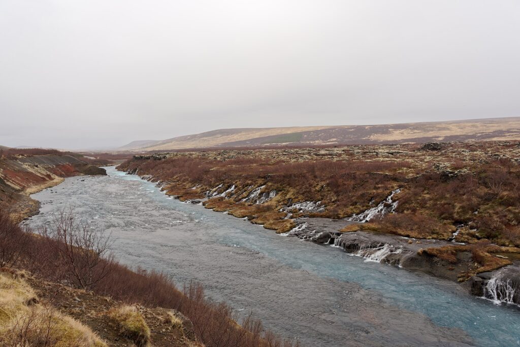 The Hraunfossar waterfalls in Borgarfjörður, West Iceland, where clear water seeps out of a mossy lava field in many small streams into the blue-grey Hvítá river.