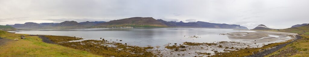 Panoramic view of Dýrafjörður fjord in the Westfjords of Iceland, with mountains rising above the water near Þingeyri, close to where Skrúður garden is located