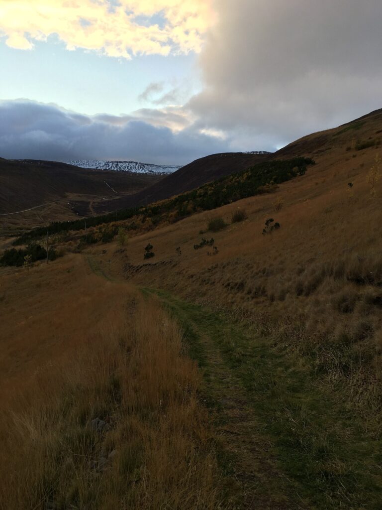 The forested Tungudalur valley near Ísafjörður seen in autumn, with trees on the valley floor and the surrounding fjord slopes.