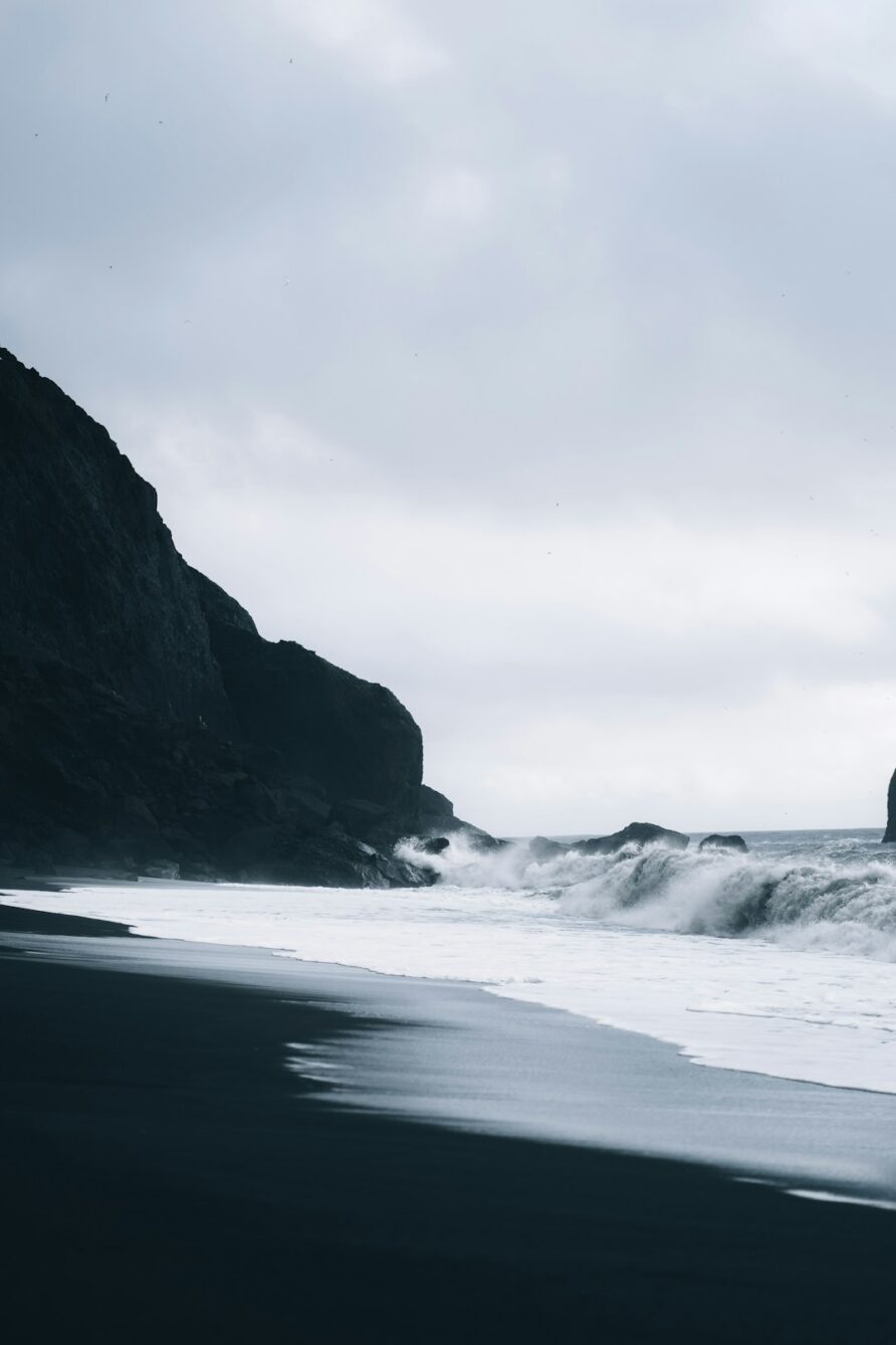 Whale Watching Tips for Iceland Visitors