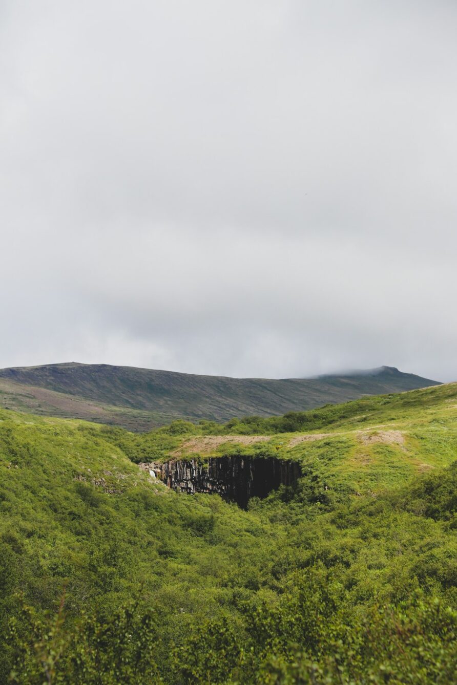 South Coast Travel Tips