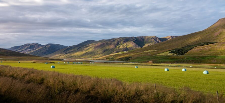 Self-Drive Tips for Iceland’s Roads
