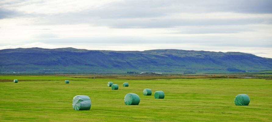 Westfjords Travel Tips
